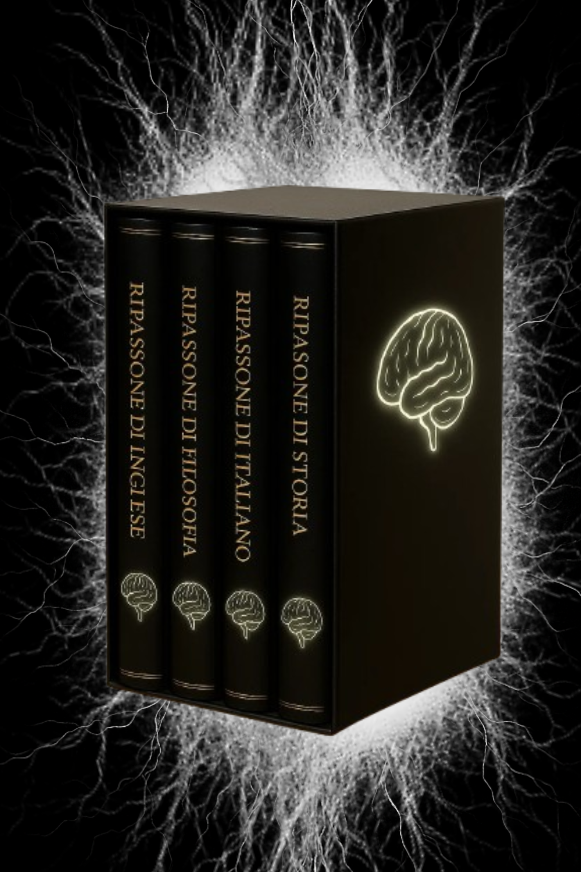 Cofanetto Ripassoni Learnia